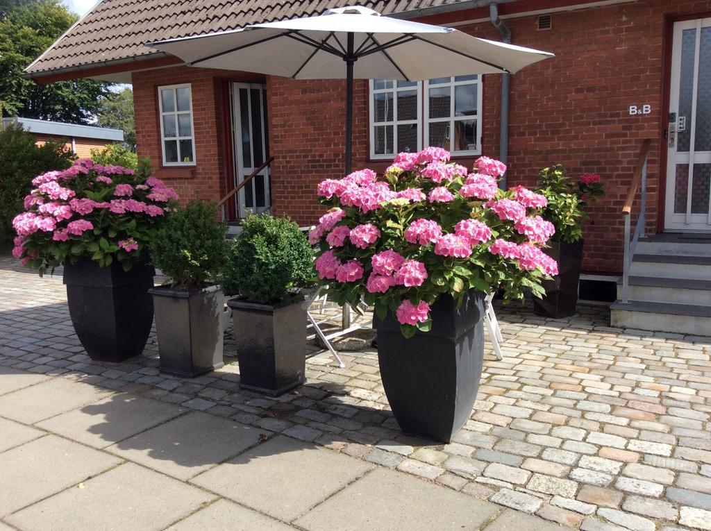 Hannas B&B - 51 M2 Grindsted Bagian luar foto